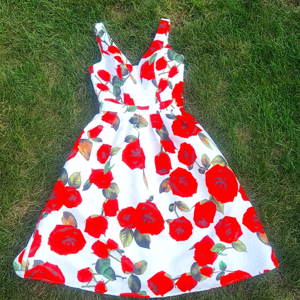 Chi chi London dress with roses Size 2 perfect for the holidays